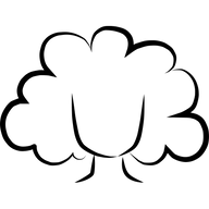 BraidaGyalRin logo
